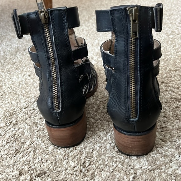 Freebird Gazelle 8 - Picture 5 of 11